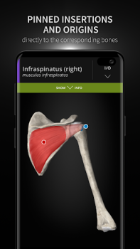 Download Anatomyka - 3D Anatomy Atlas Medicine for Android screenshot 4