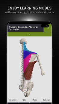 Download Anatomyka - 3D Anatomy Atlas Medicine for Android screenshot 6