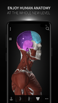 Download Anatomyka - 3D Anatomy Atlas Medicine for Android screenshot 7
