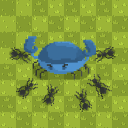 Download  Ant Colony - Ants Simulator