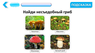 Download Подготовка к школе: полный кур Education for Android screenshot 3