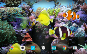 Download Coral Fish 3D Live Wallpaper Personalization for Android screenshot 7
