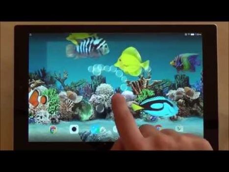 Download Coral Fish 3D Live Wallpaper Personalization for Android screenshot 8