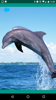 Download Animal sounds. Learn and play. Entertainment for Android screenshot 4