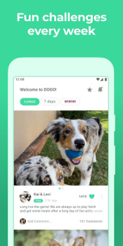 Download Dogo — Puppy and Dog Training Education for Android screenshot 5