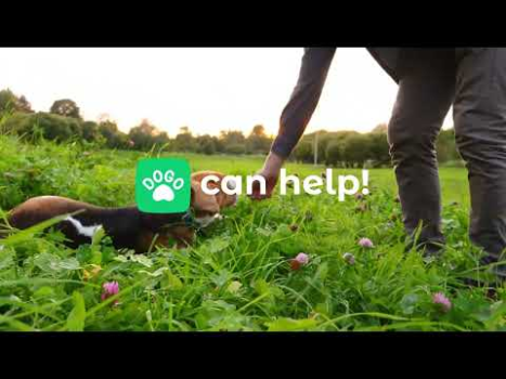 Download Dogo — Puppy and Dog Training Education for Android screenshot 8