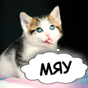 Download  Cat translator. Cat sounds. Meow joke