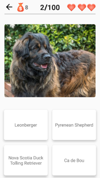 Download Dog Breeds - Quiz about dogs! Trivia for Android screenshot 2