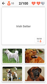 Download Dog Breeds - Quiz about dogs! Trivia for Android screenshot 5