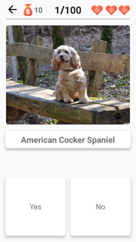 Download Dog Breeds - Quiz about dogs! Trivia for Android screenshot 7
