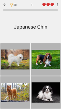 Download Dogs Quiz - Guess All Breeds! Trivia for Android screenshot 4