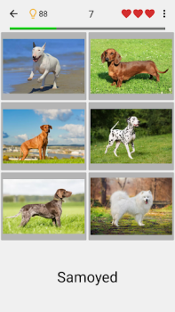Download Dogs Quiz - Guess All Breeds! Trivia for Android screenshot 6