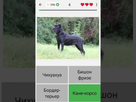 Download Dogs Quiz - Guess All Breeds! Trivia for Android screenshot 8