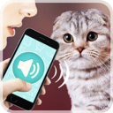 Download  Переводчик на кошачий язык
