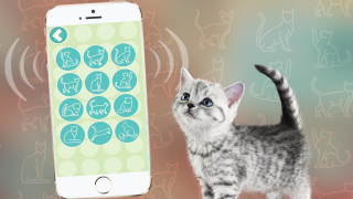 Download Переводчик на кошачий язык Entertainment for Android screenshot 2