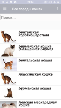 Download Все породы кошек Books and Reference for Android screenshot 2