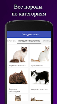 Download Породы кошек. Справочник пород Books and Reference for Android screenshot 2