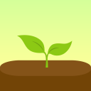 Download  Forest: Focus for Productivity
