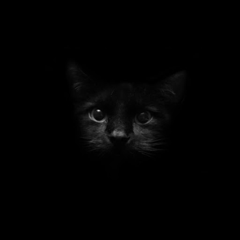Download Black Live Wallpaper Personalization for Android screenshot 5