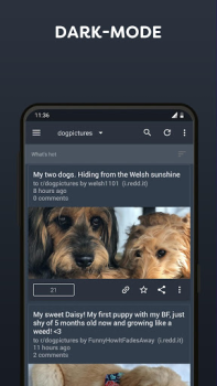 Download BaconReader for Reddit News & Magazines for Android screenshot 2