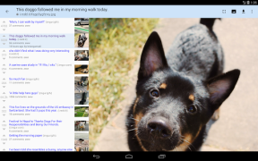 Download rif is fun for Reddit News & Magazines for Android screenshot 7