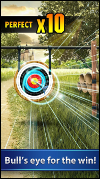 Download Archery Tournament Action for Android screenshot 2