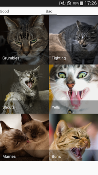 Download Cat sounds - play with cats Entertainment for Android screenshot 7