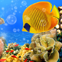 Download  Aquarium Live Wallpaper