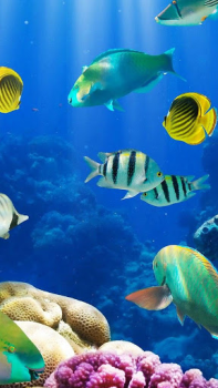 Download Aquarium Live Wallpaper Personalization for Android screenshot 3