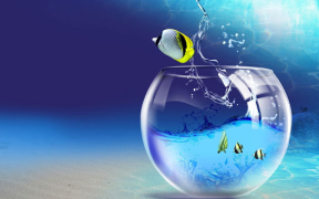 Download Aquarium Live Wallpaper Personalization for Android screenshot 7