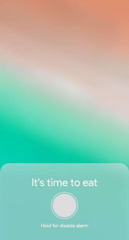 Download Meal Timer Health & Fitness for Android screenshot 2