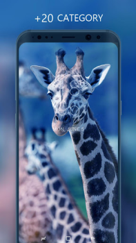Download Wallpapers and Backgrounds Personalization for Android screenshot 2