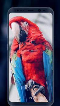 Download Wallpapers and Backgrounds Personalization for Android screenshot 6