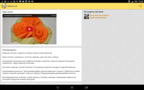 Download Recipes in Russian Food and drink for Android screenshot 7