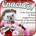 Download  Открытки и Kартинки Спасибо и Благодарю