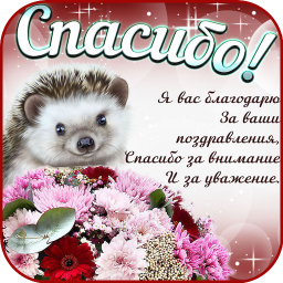 Logo Открытки и Kартинки Спасибо и Благодарю