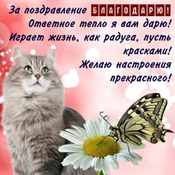 Download Открытки и Kартинки Спасибо и Благодарю Entertainment for Android