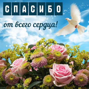 Download Открытки и Kартинки Спасибо и Благодарю Entertainment for Android screenshot 2
