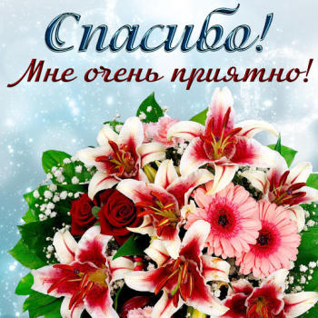 Download Открытки и Kартинки Спасибо и Благодарю Entertainment for Android screenshot 3
