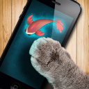 Download  Fish game toy for cats