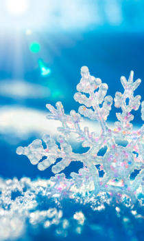 Download Falling Snow Live Wallpaper (live background) Personalization for Android screenshot 2