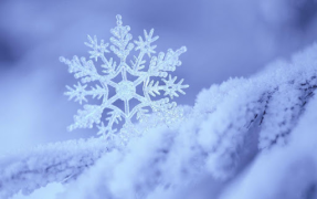 Download Falling Snow Live Wallpaper (live background) Personalization for Android screenshot 4