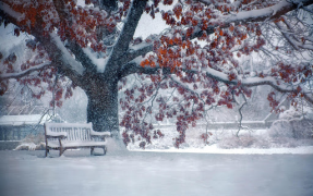 Download Falling Snow Live Wallpaper (live background) Personalization for Android screenshot 6