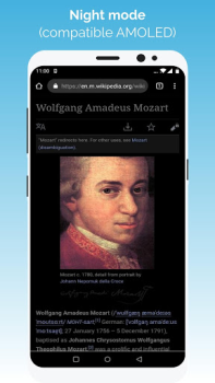 Download Kiwi Browser - Fast & Quiet Contact for Android screenshot 3