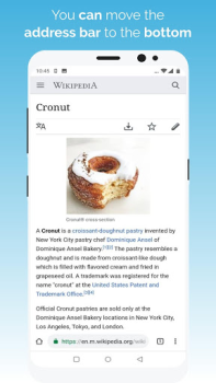 Download Kiwi Browser - Fast & Quiet Contact for Android screenshot 4