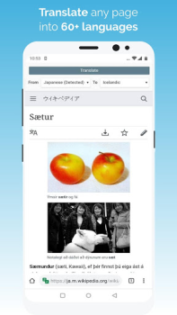 Download Kiwi Browser - Fast & Quiet Contact for Android screenshot 5