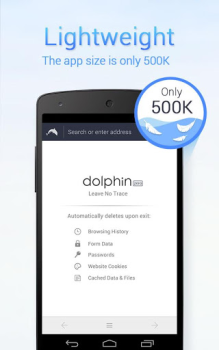Download Dolphin Zero Incognito Browser Contact for Android
