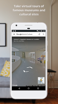 Download Google Arts & Culture Education for Android screenshot 6