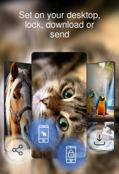 Download Beautiful wallpapers 4k Personalization for Android screenshot 4