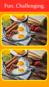Download Spot The Differences Game Puzzles for Android